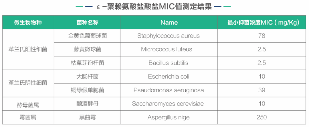 聚赖氨酸MIC值测定结果