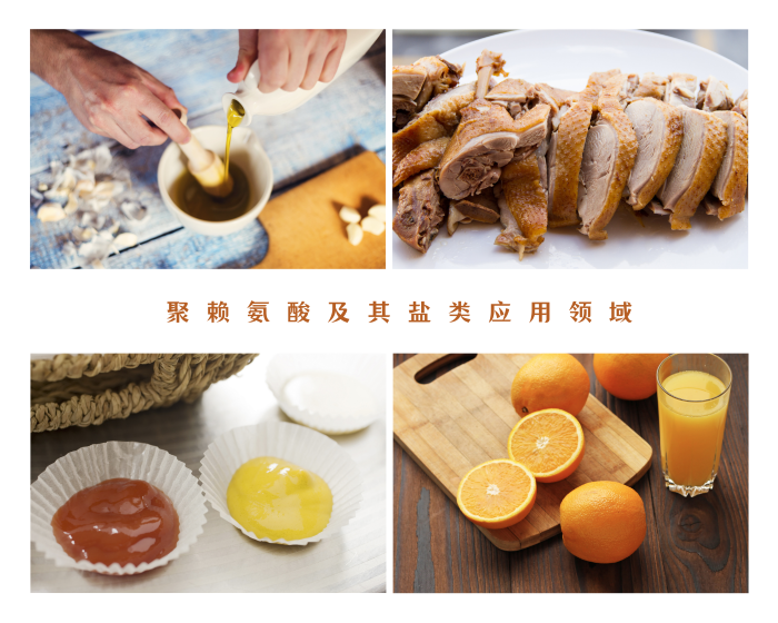 聚赖氨酸应用领域.png